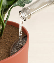 Load image into Gallery viewer, Earth Red
