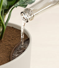 Load image into Gallery viewer, Natural Bamboo
