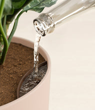 Load image into Gallery viewer, Sandy Pink
