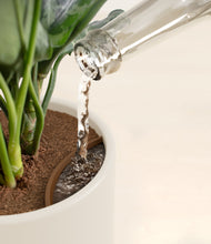 Load image into Gallery viewer, Cotton White stand:all
