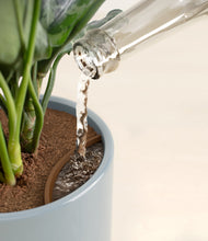 Load image into Gallery viewer, Misty Blue stand:all
