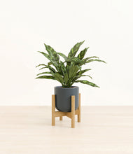 Load image into Gallery viewer, Iron Gray stand:bamboo
