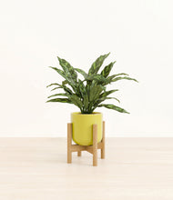 Load image into Gallery viewer, Key Lime Yellow stand:bamboo
