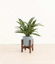 Load image into Gallery viewer, Misty Blue stand:walnut
