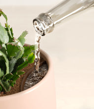 Load image into Gallery viewer, Gentle Pink stand:all
