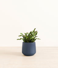 Load image into Gallery viewer, Deep Navy*****Profile
