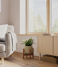 Load image into Gallery viewer, Olive stand:walnut
