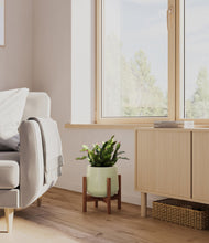 Load image into Gallery viewer, Turquoise stand:walnut
