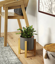 Load image into Gallery viewer, Dark Olive stand:light
