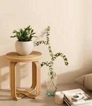 Load image into Gallery viewer, Shiny EggWhite
