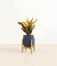 Load image into Gallery viewer, Deep Navy stand:bamboo
