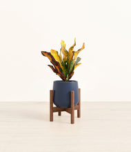 Load image into Gallery viewer, Deep Navy stand:walnut
