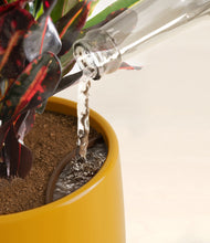 Load image into Gallery viewer, Mustard stand:all
