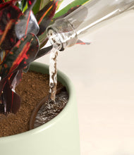 Load image into Gallery viewer, Turquoise stand:all
