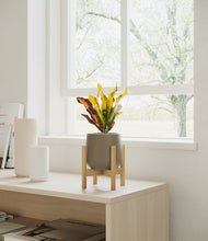 Load image into Gallery viewer, Olive stand:bamboo
