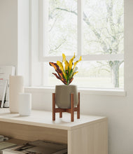 Load image into Gallery viewer, Olive stand:walnut
