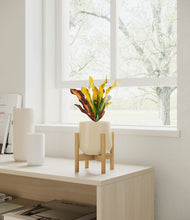 Load image into Gallery viewer, Almond Green stand:bamboo
