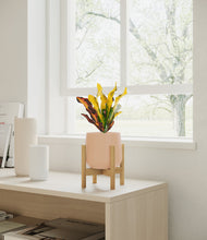 Load image into Gallery viewer, Gentle Pink stand:bamboo

