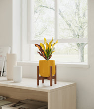 Load image into Gallery viewer, Mustard stand:walnut
