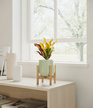 Load image into Gallery viewer, Turquoise stand:bamboo
