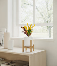Load image into Gallery viewer, White stand:bamboo
