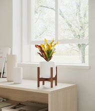 Load image into Gallery viewer, White stand:walnut
