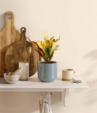 Load image into Gallery viewer, Misty Blue
