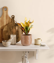 Load image into Gallery viewer, Hammered Peach Pink
