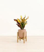 Load image into Gallery viewer, Striped Peach Pink stand:bamboo
