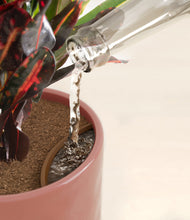 Load image into Gallery viewer, Hammered Rose Pink stand:all
