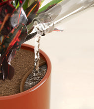 Load image into Gallery viewer, Glossy Red stand:all
