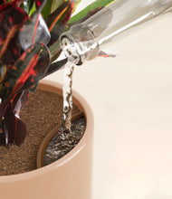 Load image into Gallery viewer, Glossy Pink stand:all
