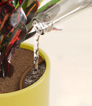 Load image into Gallery viewer, Key Lime Yellow stand:all
