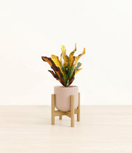 Load image into Gallery viewer, Sandy Pink stand:bamboo
