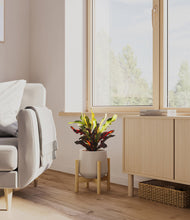 Load image into Gallery viewer, Eternal Gray stand:bamboo
