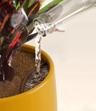 Load image into Gallery viewer, Mustard stand:all
