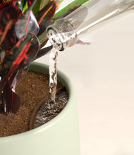 Load image into Gallery viewer, Turquoise stand:all
