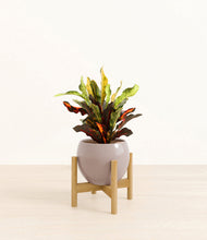 Load image into Gallery viewer, Winter Clouds stand:bamboo
