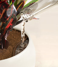 Load image into Gallery viewer, Shiny EggWhite stand:all
