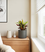 Load image into Gallery viewer, Dark Olive
