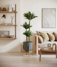 Load image into Gallery viewer, Iron Gray stand:bamboo
