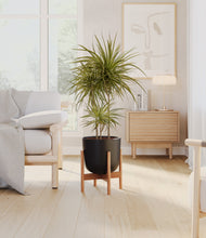 Load image into Gallery viewer, Stone Black stand:bamboo
