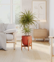 Load image into Gallery viewer, Earth Red stand:bamboo
