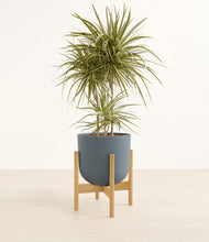 Load image into Gallery viewer, Iron Gray stand:bamboo
