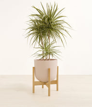 Load image into Gallery viewer, Sandy Pink stand:bamboo
