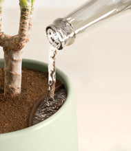 Load image into Gallery viewer, Countryside
