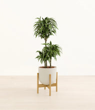 Load image into Gallery viewer, Natural Bamboo stand:bamboo
