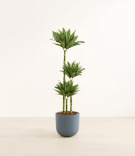 Load image into Gallery viewer, Iron Gray*****Profile
