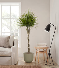 Load image into Gallery viewer, Sage Green
