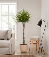 Load image into Gallery viewer, Sandy Pink
